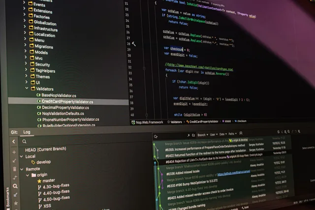 Source code on a monitor, illustrative stock photo